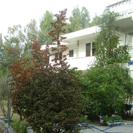 Villa Zoi Thronion Экстерьер фото