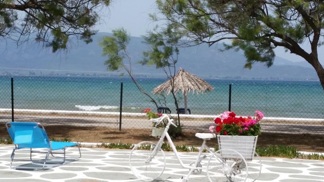 Villa Zoi Thronion Экстерьер фото